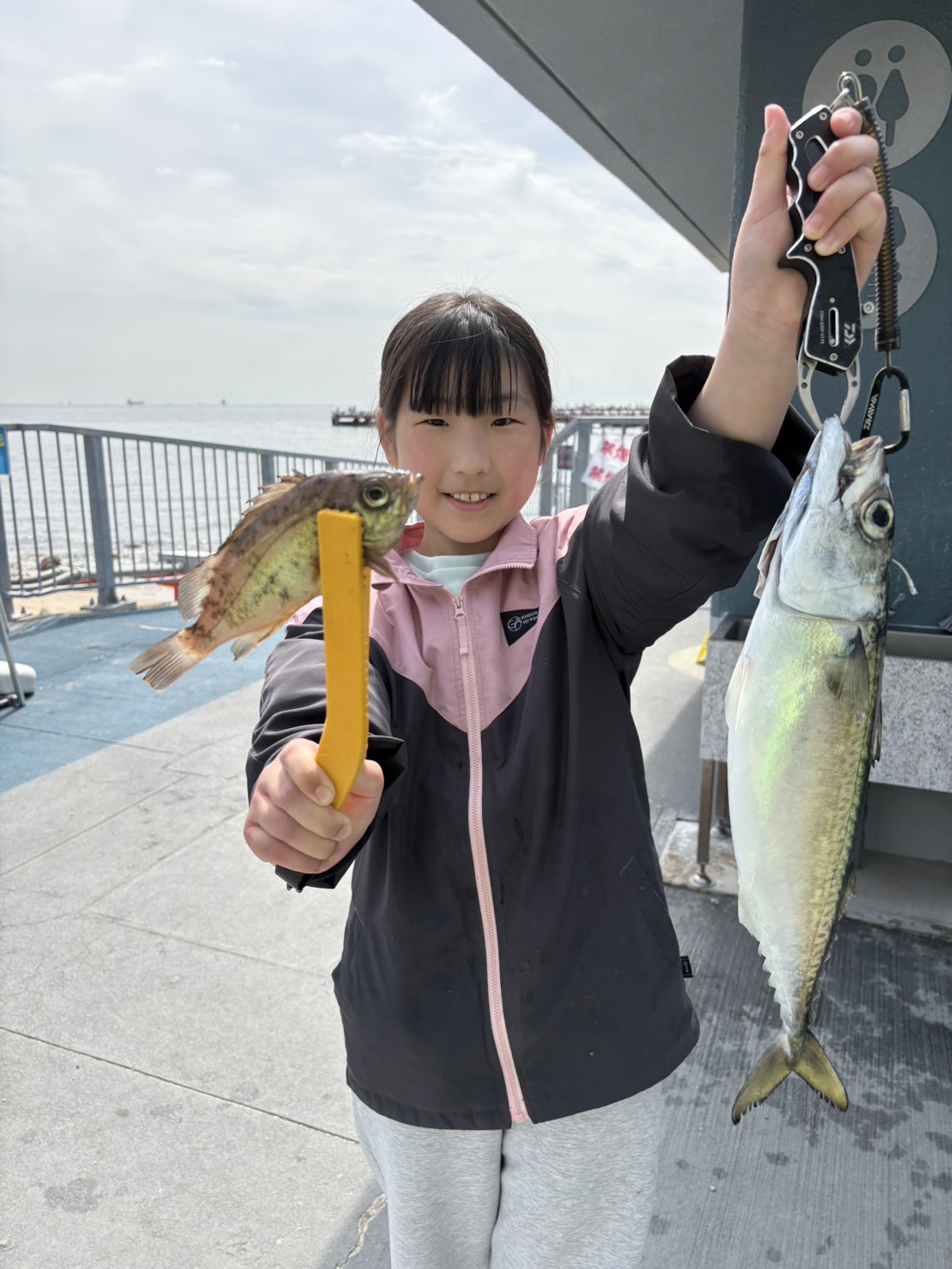 立派な須磨サバ🐟 | 須磨海づり公園
